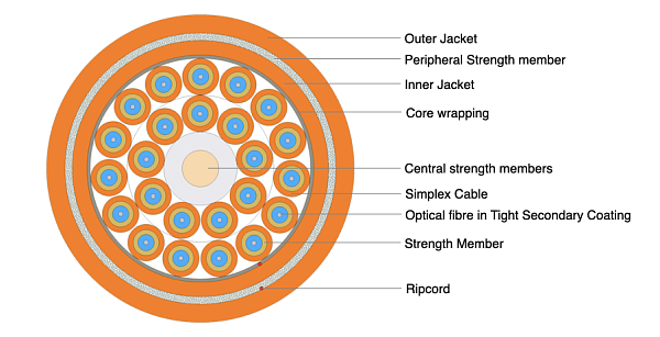 Universal Breakout Cable - Double Jacket 24F